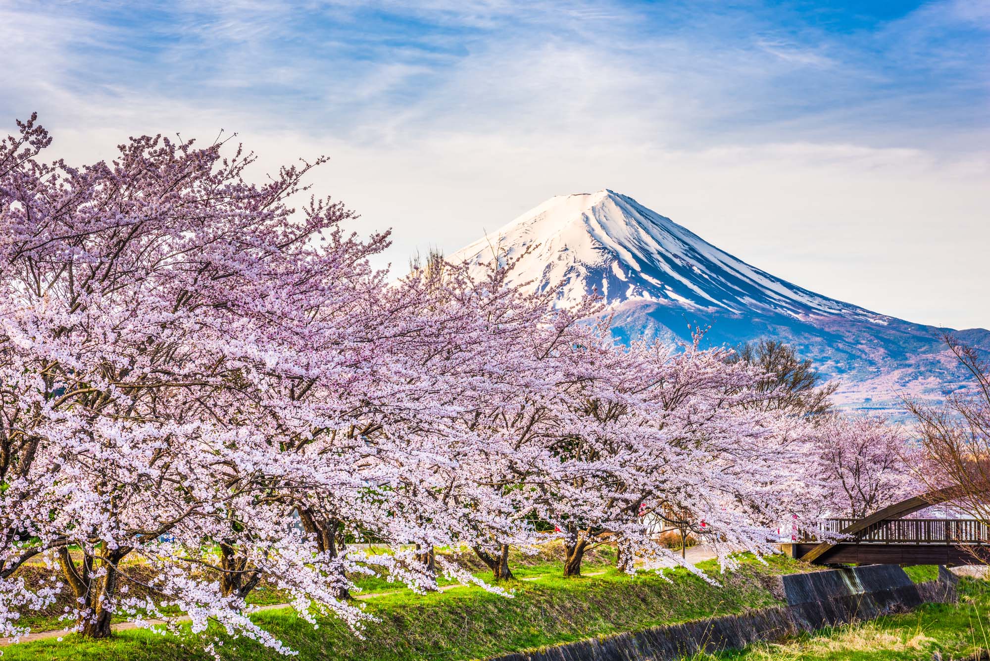 Classic Japan Tours