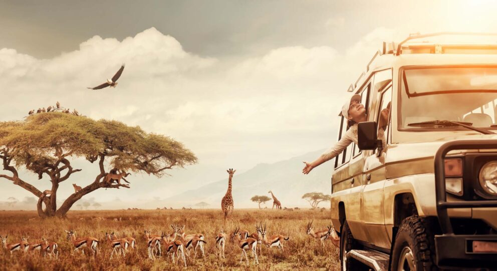 Tanzania Safari Tours
