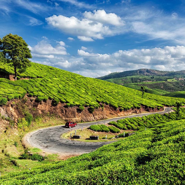 India - Kerala Holidays