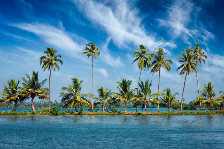 South India Tour